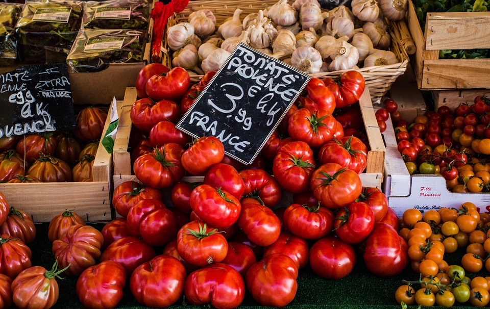 Navigating Uncertain Times: An Overview of Australia’s Economic Trends and Market Forecasts